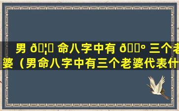 男 🦄 命八字中有 🌺 三个老婆（男命八字中有三个老婆代表什么）